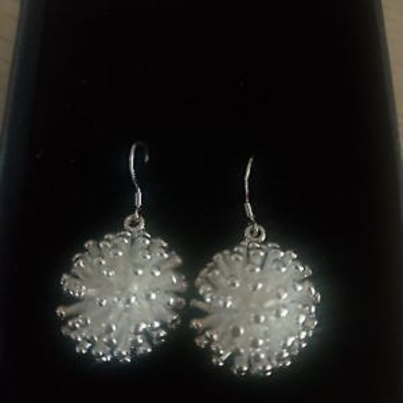 Silver Plated Firework Earrings - Picture 1 of 3
